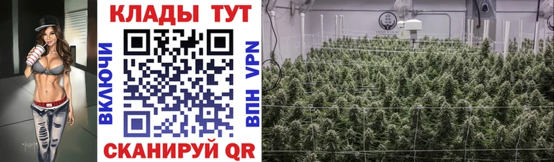 Купить наркотики Вязники APVP АМФ ГАШИШ МЕФ Бошки Шишки Cocaine