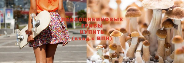 прущие крисы Белокуриха