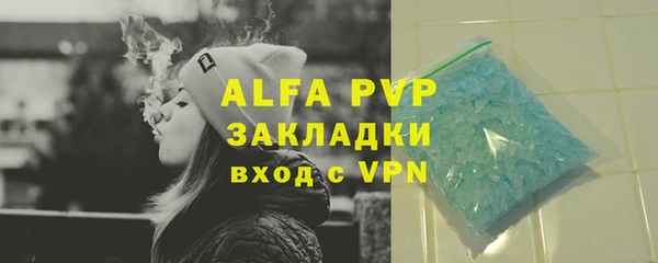 прущие крисы Белокуриха