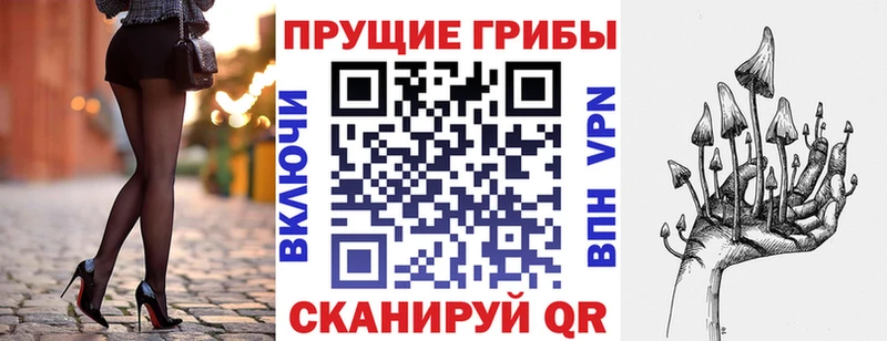 нарко площадка телеграм  Вязники  Псилоцибиновые грибы мицелий 