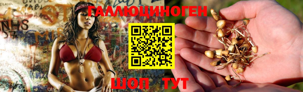 цена наркотик  Галлюциногенные грибы MAGIC MUSHROOMS  Вход с VPN  Вязники 